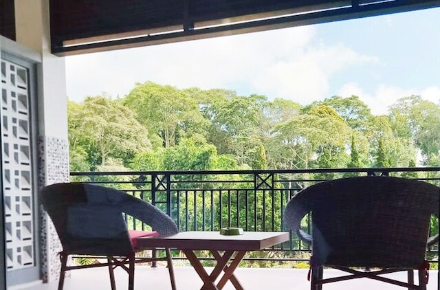 デダナウ ホテル