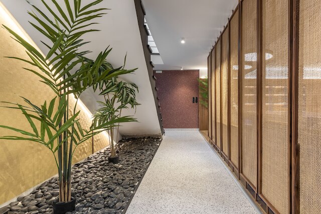 ザ ニュウル アクロポリス