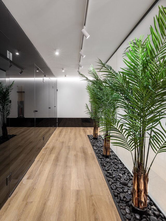 ザ ニュウル アクロポリス