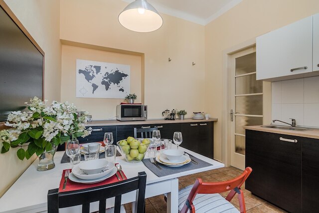 アパートメント イン センター プラハ バイ ミハャル & フレンズ