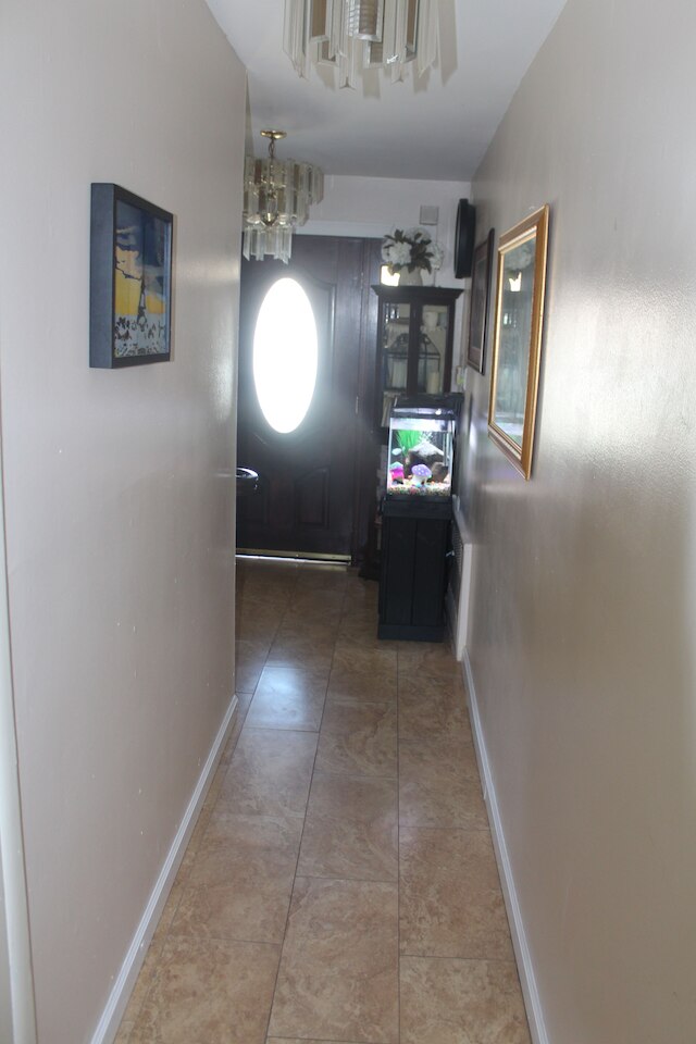 コージー クラッシー デュプレックス ニア NYC