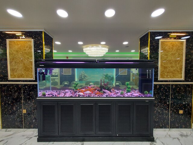 ヨルダン シーズンズ ホテル