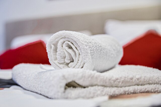 モダン アパートメント イン ザ ハート オブ ウィーン 2