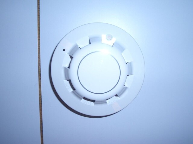 Oriental Pearl Hostel