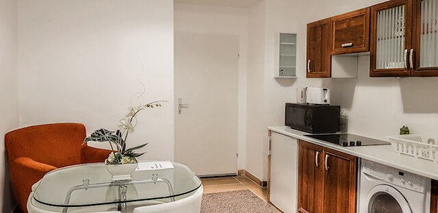 モダン アパートメント ウィーナー シュタットハレ 3