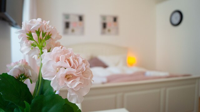 スタイリッシュ アパートメント ニア ダウンタウン