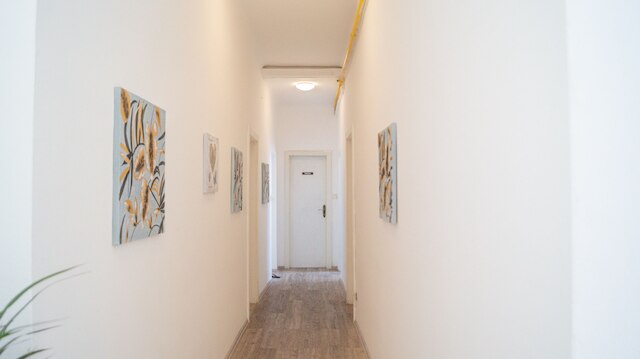 シェアド モダン アパートメント シェーンブルン - バジェット シック ルーム