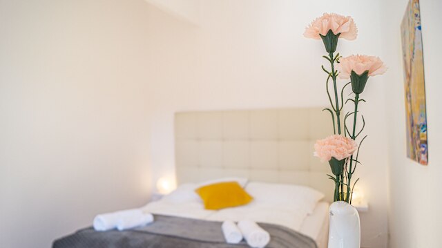 シェアド モダン アパートメント シェーンブルン - バジェット シック ルーム