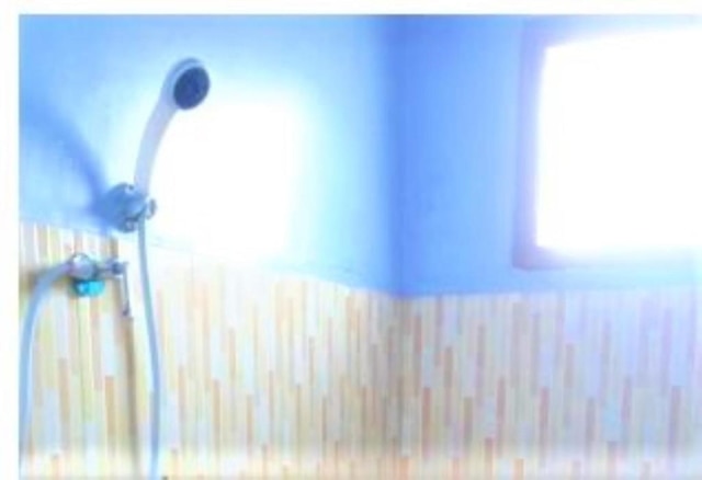 ペンギナパン レゼキ