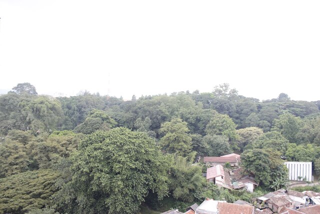 スペーシャス & トレンディー スタジオ アット ジャルディン チハンペラス アパートメント