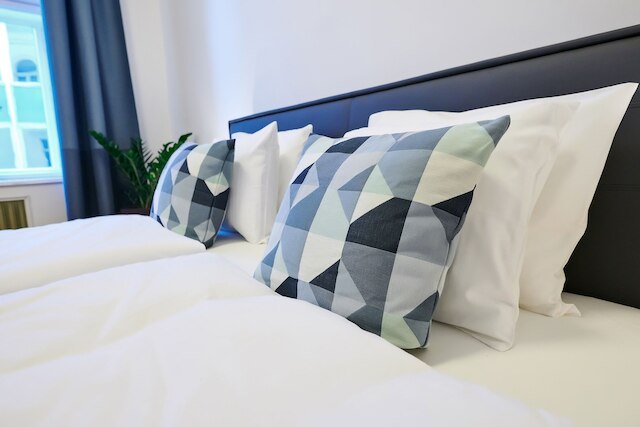 ステパンスカ レジデンス