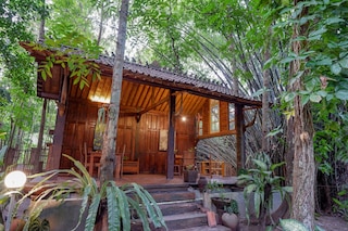 ウパラ ジャワ ハイズ