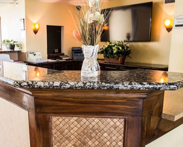 ステイエーブル・オーランド