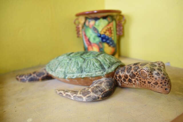 B&Bの部屋 - カンクンゲストハウス1