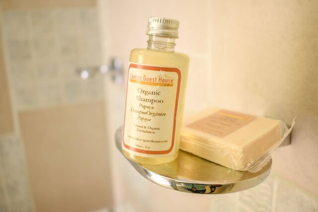 ルーム-カンクン ゲスト ハウス 5