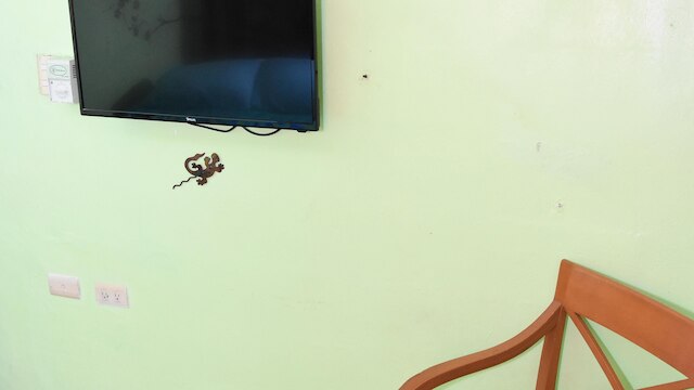 B&Bの部屋 - カンクンゲストハウス6