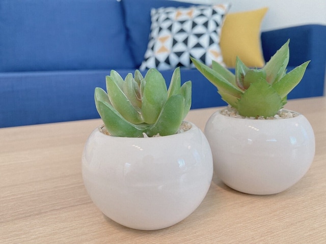 おうちホテル宮島口