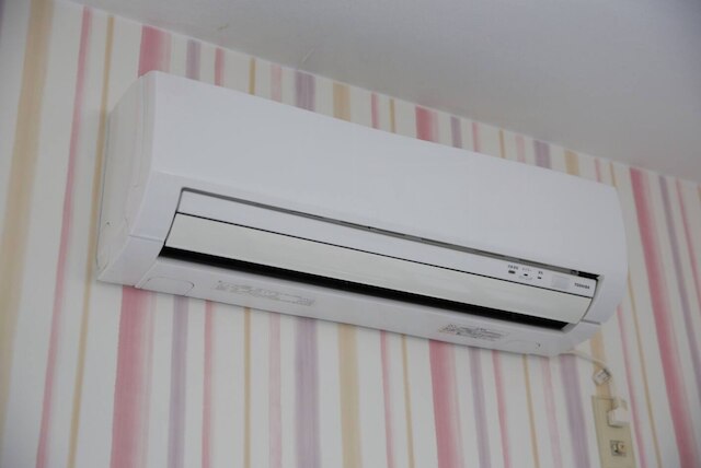 Exsaison Shirokita 511