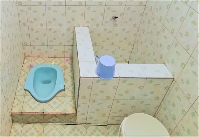 ウィズマ アルタ