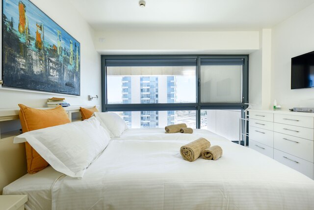 デラックス 2 ベッドルーム アパートメント イン ヘーツリア