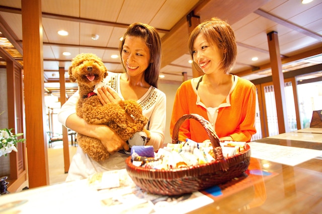 暖灯館きくのや