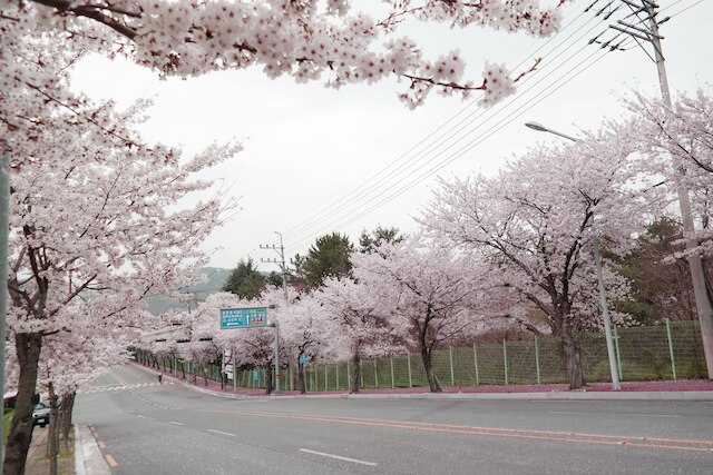 アジア レイクサイド ホテル