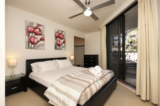 スピンドリフト オン ザ ビーチ