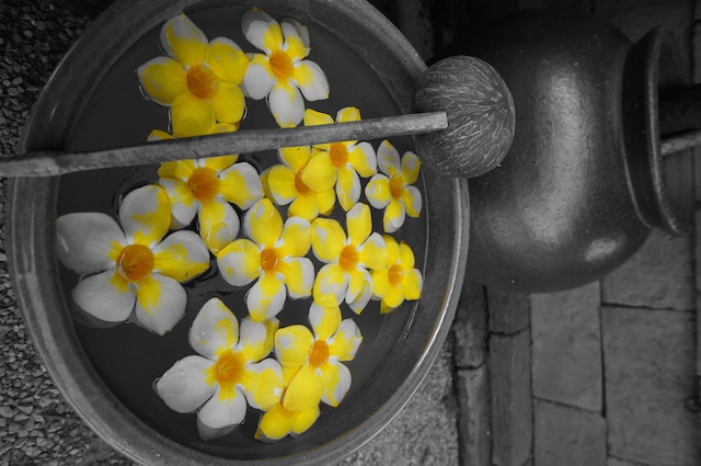 コヤオ ベイ パビリオンズ