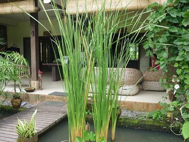 ブリス バンガロー