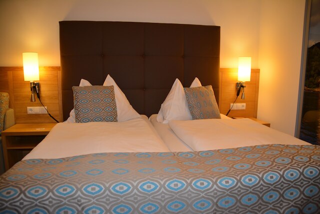 ホテル ドナウホフ