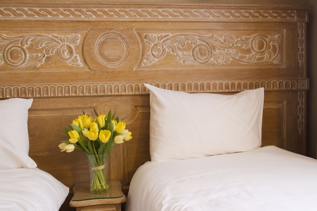 オテル ドゥ プランタン