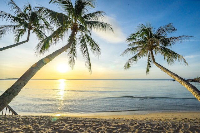 サムイパラダイスチャワンビーチリゾート&スパ