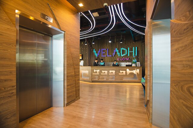 ヴェラ・ディ・グロウ・プラトゥナム