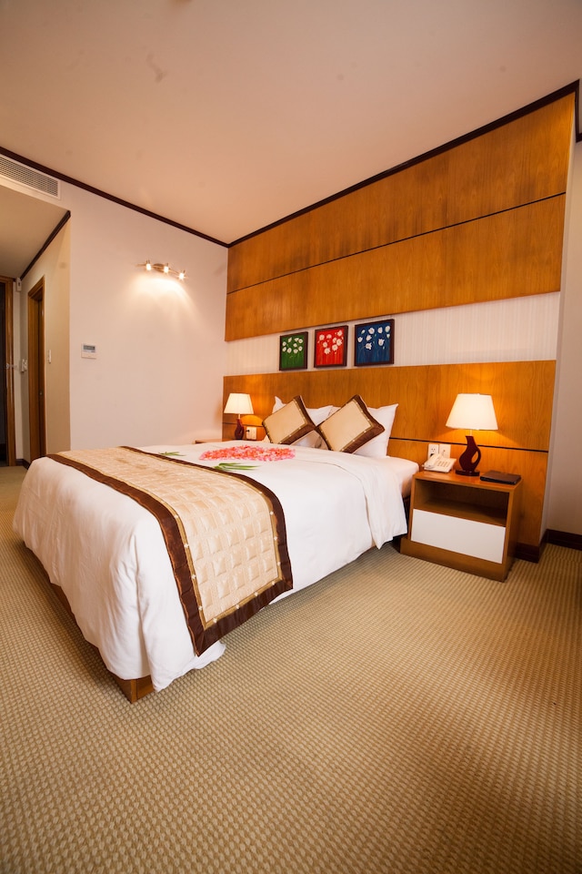 ダナン ペトロ ホテル