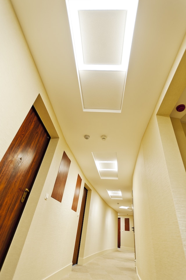 トリトン パーク アパートメンツ