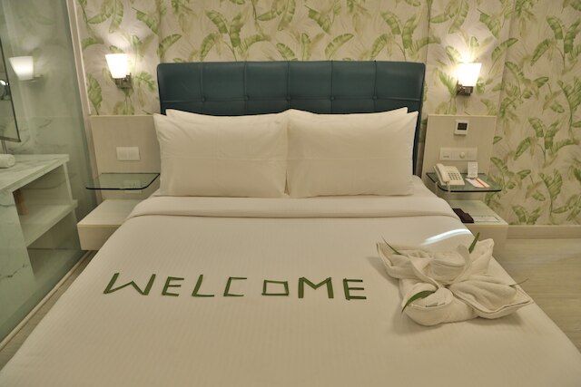 サロヴァー ポルティコ ナライナ デリー