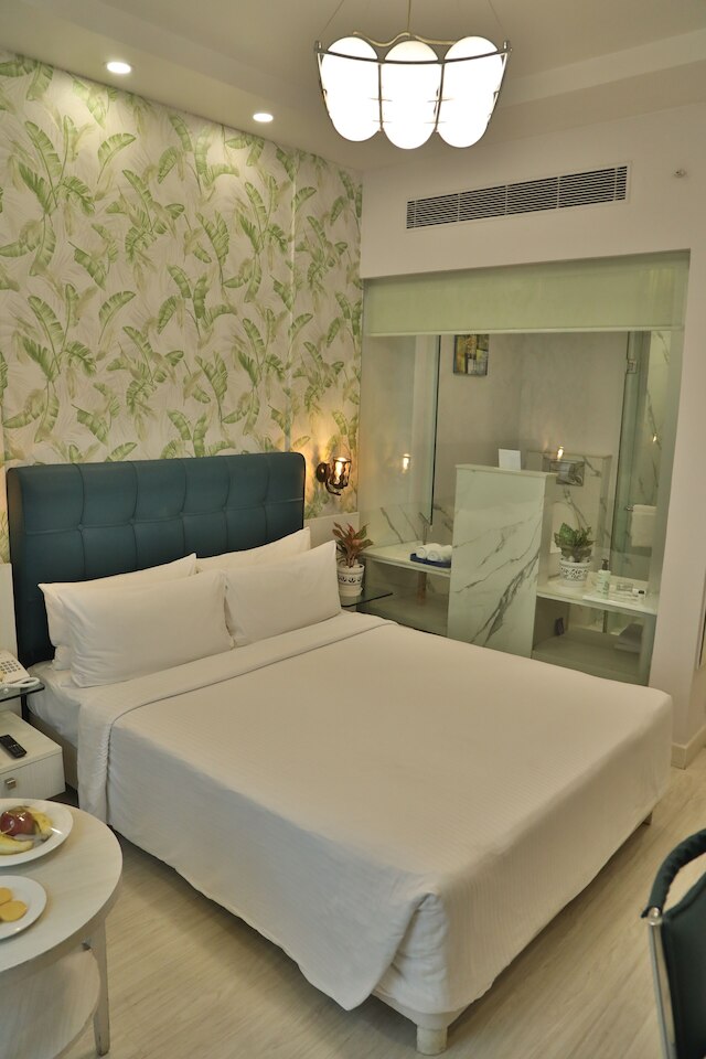 サロヴァー ポルティコ ナライナ デリー