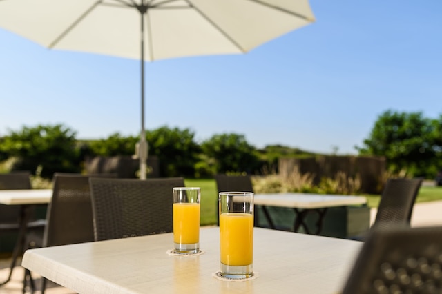 オテル レ テラセス ダトゥランタル