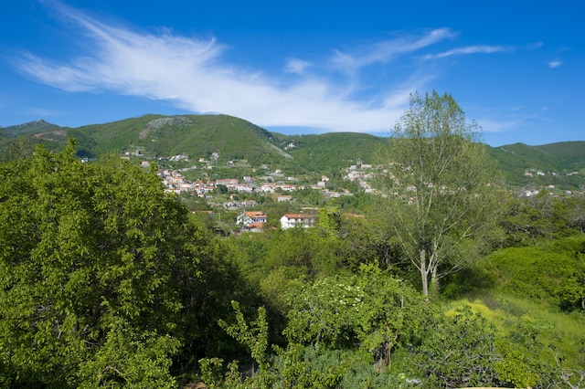 ハイディ ハウス ベッド アンド ブレックファースト