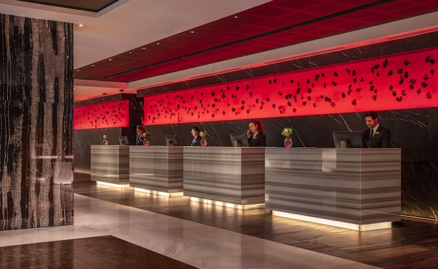 ザ ダーリン アット ザ スター