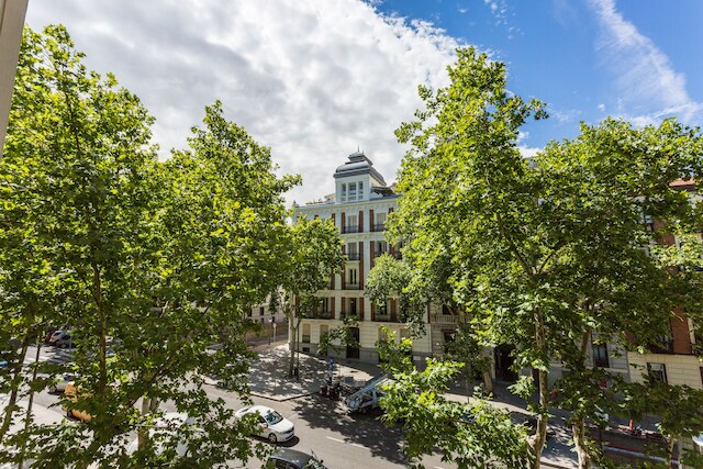 プチ パレス レアルタッド プラザ