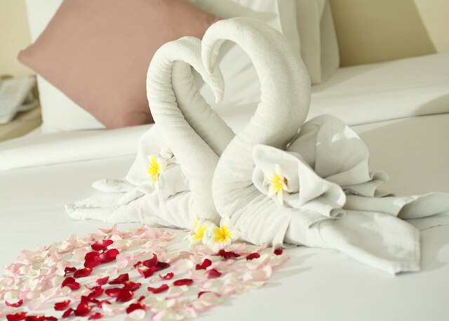 ジ・アクマニレギャン