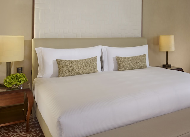 ザ リッツ カールトン、ウィーン