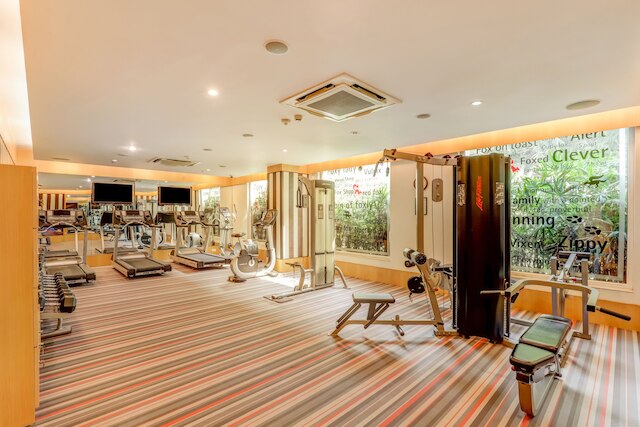 レモンツリー ホテル, デリー エアポート