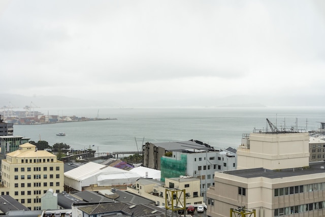 メルキュール ウェリントン セントラル シティ ホテル & アパートメンツ