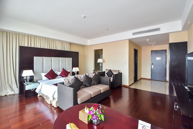 ダラ エアポート シティ  ホテル & スパ