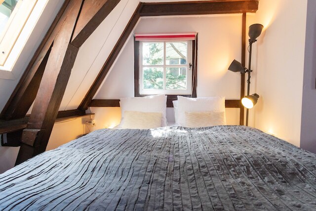 チューリップ オブ アムステルダム