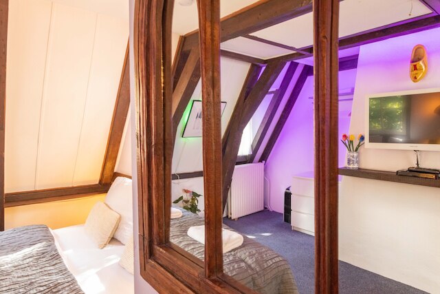 チューリップ オブ アムステルダム