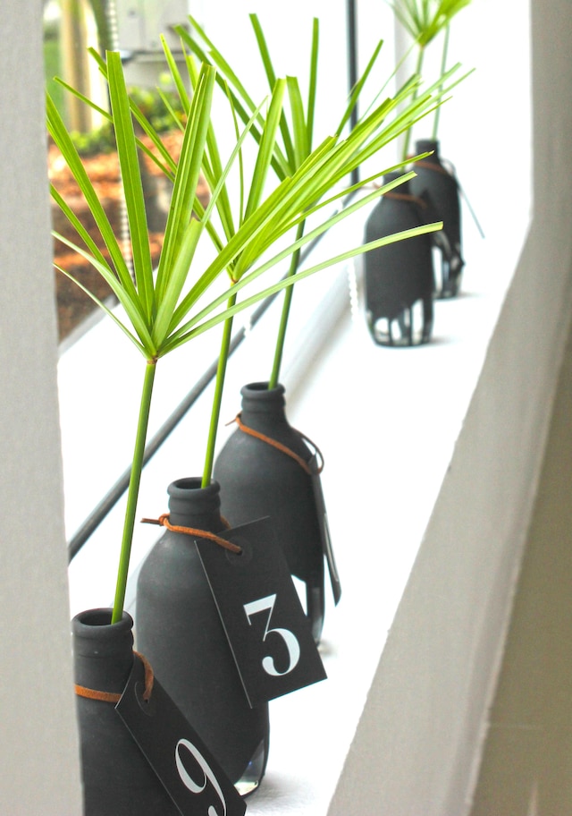 ザ ビーチ ビレッジ リゾート