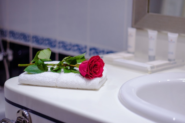 サボイ セントラル ホテル アパートメンツ